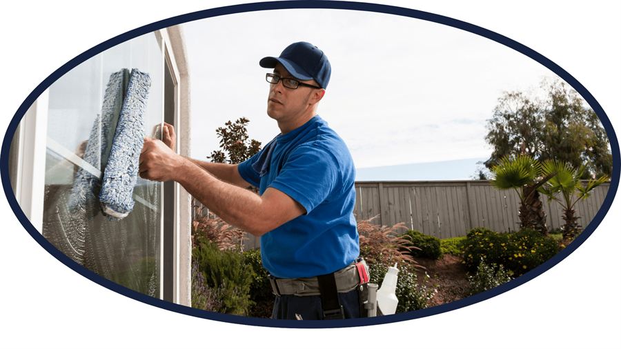 Cheap quotes scratch windows